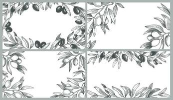 Engraved olive branches frames. Black olives on branch with leaves, greek spa frame and hand drawn sketch natural products vector illustration set.