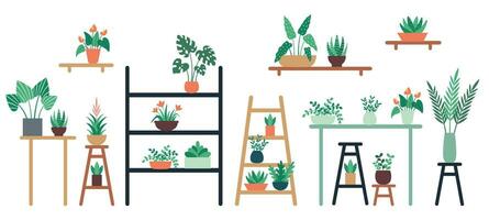 Houseplants standing on shelf, chair and table in ceramic pots. Home and office interior decor with foliage vector