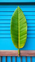 AI generated 4K colorful leaf AMOLED wallpaper photo