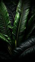 AI generated 4K Colorful leaf AMOLED Wallpaper for Mobile photo