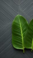 AI generated 4K colorful leaf AMOLED wallpaper for mobile photo