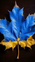 AI generated 4K colorful leaf AMOLED wallpaper photo