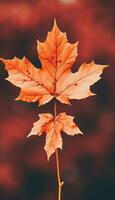 AI generated 4K colorful leaf AMOLED wallpaper photo