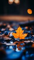 AI generated 4K Colorful leaf AMOLED Wallpaper for Mobile photo