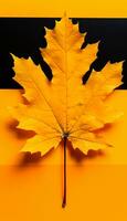 AI generated 4K colorful leaf AMOLED wallpaper photo