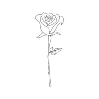 Continuous one-line rose flower drawing and single outline vector art illustration