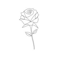 One-line continuous rose flower drawing and single-line style outline vector art illustration