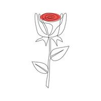 One-line continuous rose flower drawing and single-line style outline vector art illustration