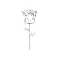 Continuous one-line rose flower drawing and single outline vector art illustration