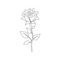 Continuous one-line rose flower drawing and single outline vector art illustration