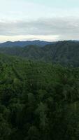 Vertical aerial footage of mountains and valleys against sky. Aerial view of a mountain slope in the afternoon video