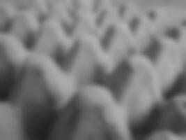 abstract blurred background texture, black and white panel eggs paper image, with macro artistic illustration bokeh concept. photo