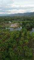 aéreo Visão do perinite lago cercado de árvores video