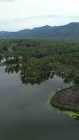 aéreo ver de perintis lago rodeado por arboles video