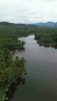 Aerial view of Perintis Lake surrounded by trees video