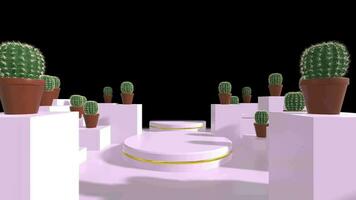 cactus tunnel minimaal video