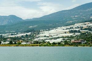 greenhouses on hillsides near the seashore. photo