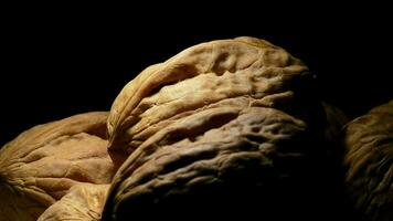 Walnuts rotating on black background with a cenital light video
