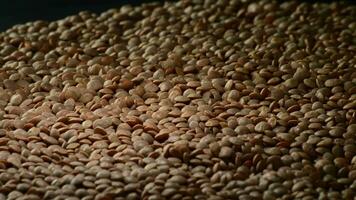 Mountain of lentils gyrating with intimate light on black background video