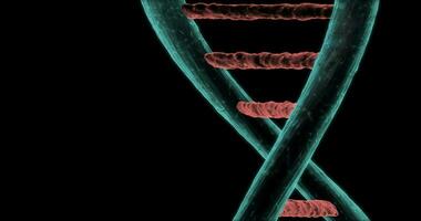 dettaglio di filo di dna girando su nero sfondo nel 4k formato video