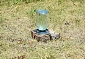 Drinking bowl for bees. Drinking bowl from a three-liter glass jar and plates. Watering for insects. photo