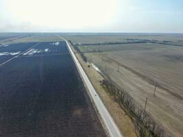 Top view of the field. Early spring in the Kuban. Agricultural g photo