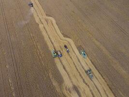 Harvesting wheat harvester. Agricultural machines harvest grain on the field. photo