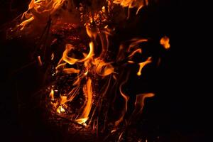 Burning of rice straw at night. Red fire on a black background. Combustion. photo