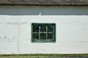 Window with green bars photo