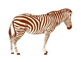 Plains Zebra Side View Isolated Background WPA Art vector