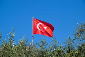 Turkish flag against the blue sky and tops of the trees. photo