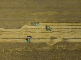 cosecha trigo segador. agrícola máquinas cosecha grano en el campo. foto