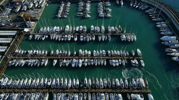 Aerial view of sailboats in a marina video