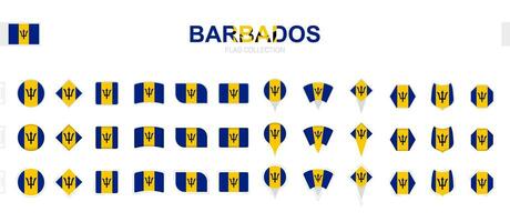 Large collection of Barbados flags of various shapes and effects. vector