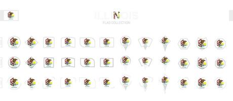 Large collection of Illinois flags of various shapes and effects. vector
