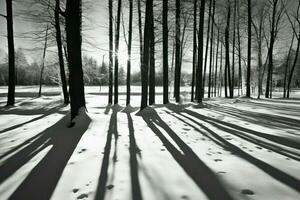 AI generated Winter Shadows - Generative AI photo