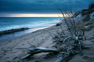 AI generated Winter Beaches - Generative AI photo