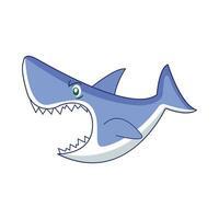 shark fish illustration vector