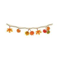 maple autumn decoration vector