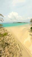 vol de derrière paume des arbres plus de blanc plage avec le mot 2024 tiré sur le sable video