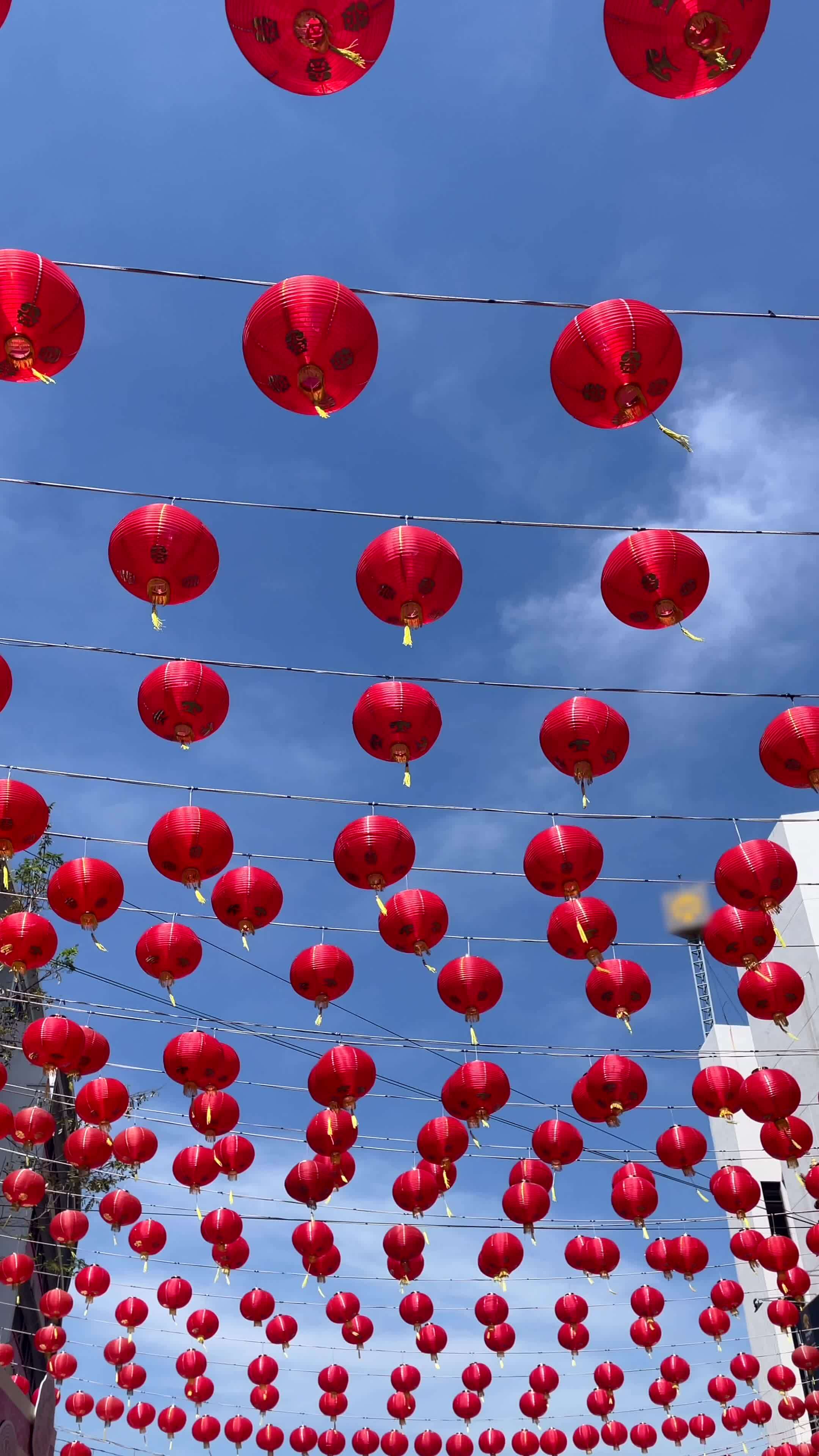 Chinese red lanterns symbolizing wealth and happiness. Lunar New Year