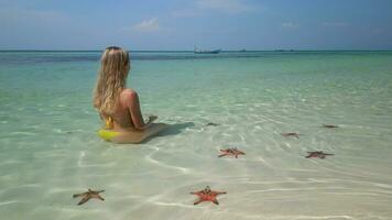 caucasico donna rilassante nel tropicale mare con stella marina, phu quoc isola, Vietnam video