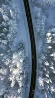 top visie van auto's het rijden door de toneel- besneeuwd berg Woud in winter video