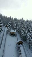 snöig åka skidor flygande kulle i de berg vinter- skog, antenn, polen video
