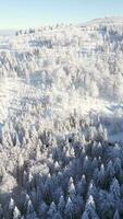 inverno panorama do branco coberto de neve montanha floresta em ensolarado dia video
