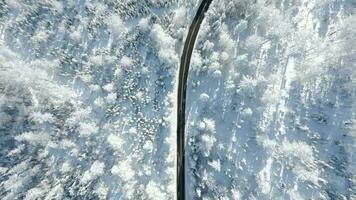 escénico la carretera mediante un Nevado invierno montaña bosque video