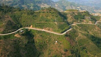 Antenne Aussicht von Kaffee Plantage Hügel auf das Ha Giang Schleife im Norden Vietnam video