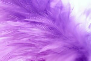 Pastel colored of chicken feathers in soft and blur style for the background photo