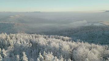 aereo Visualizza di il inverno paesaggio di un' nebbioso montagna foresta video