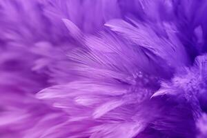 Pastel colored of chicken feathers in soft and blur style for the background photo